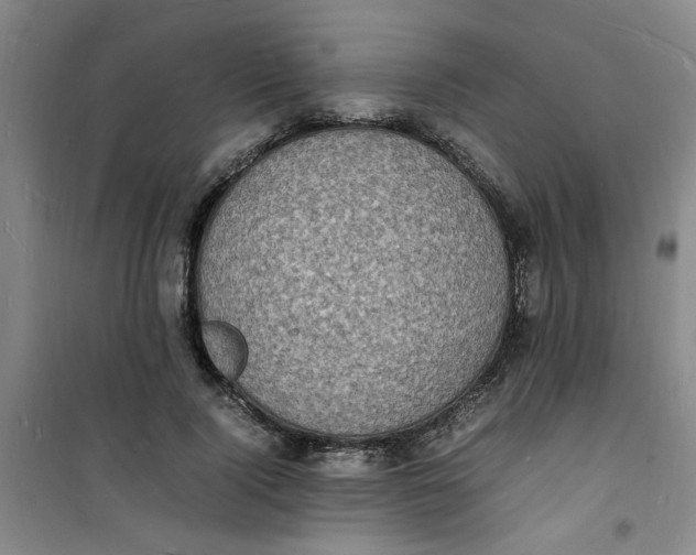 X0000100980740200807151415