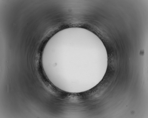 X0000100980742200807151415