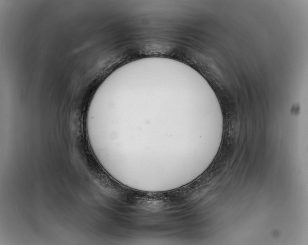 X0000100980743200807151415