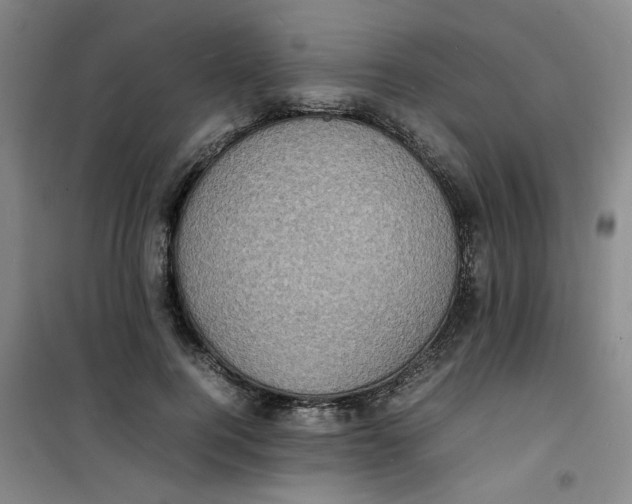 X0000100980744200807151415