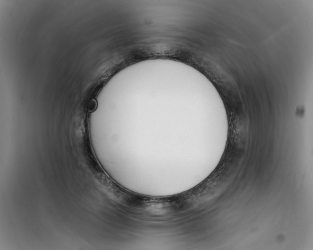 X0000100980746200807151415