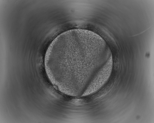 X0000100980748200807151415