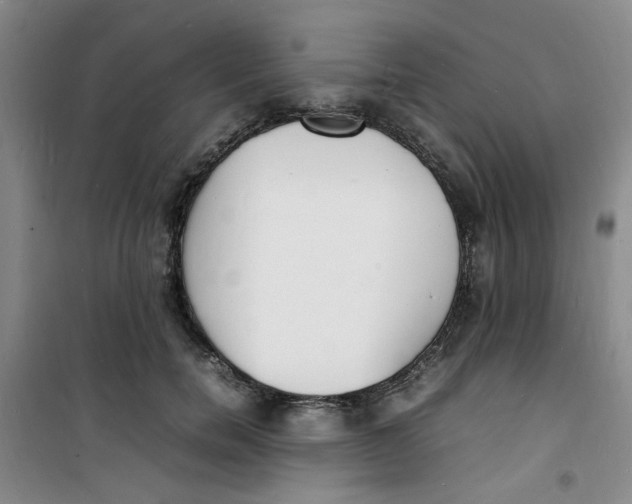 X0000100980750200807151415