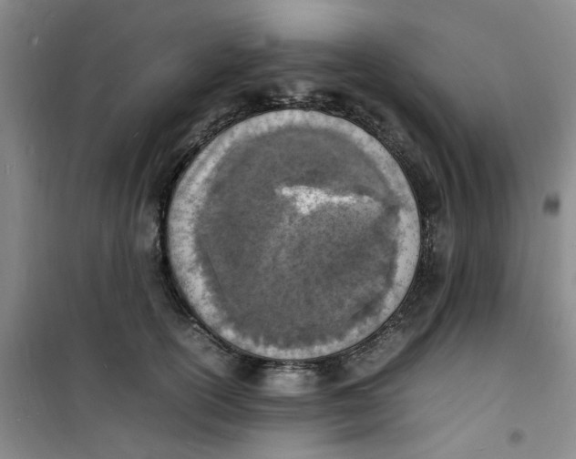 X0000100980754200807151415