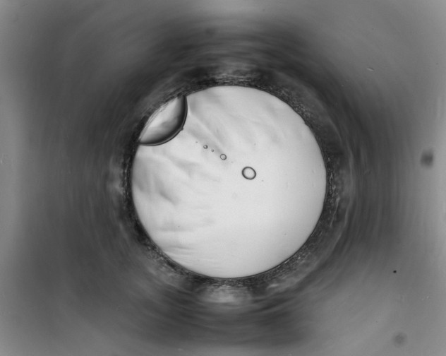 X0000100980755200807151415