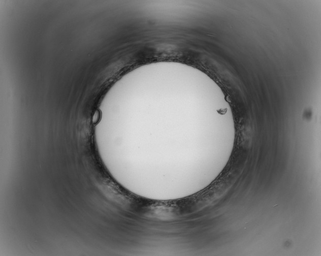 X0000100980756200807151415