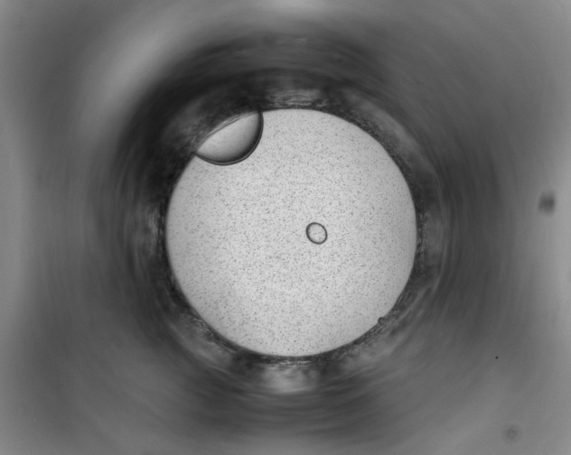 X0000100980761200807151415