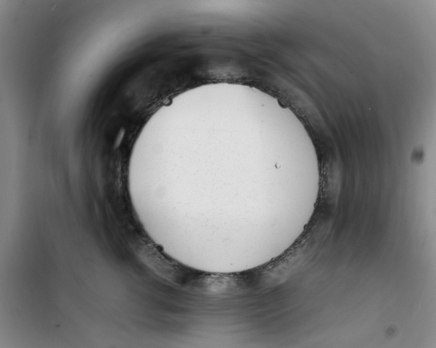 X0000100980762200807151415