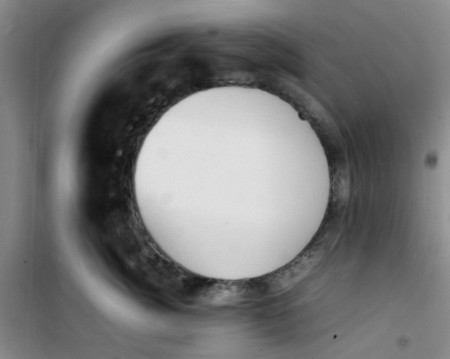 X0000100980764200807151415