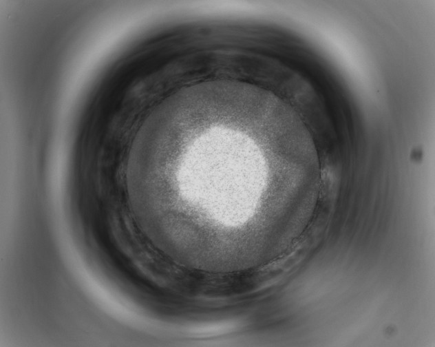 X0000100980765200807151415