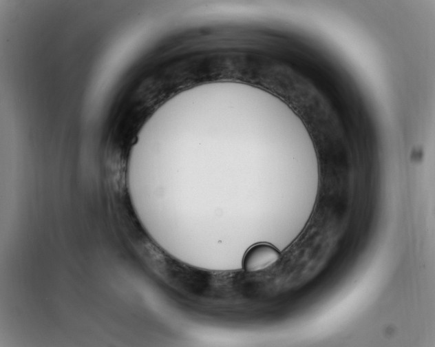 X0000100980766200807151415