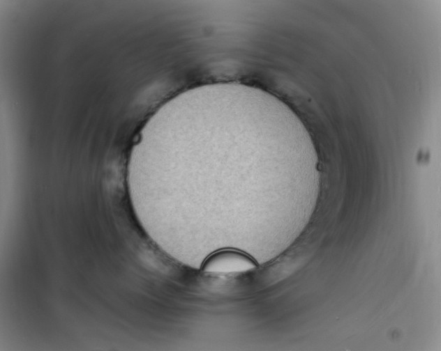 X0000100980768200807151415