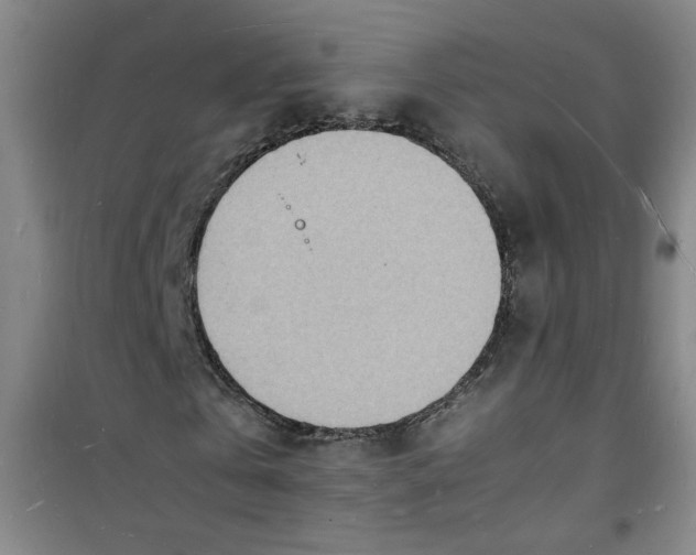 X0000100980769200807151414