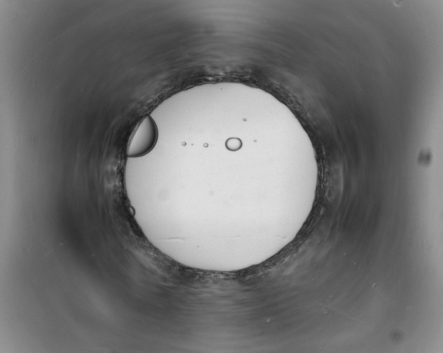 X0000100980770200807151414