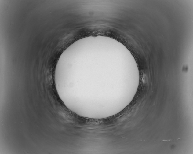 X0000100980771200807151414