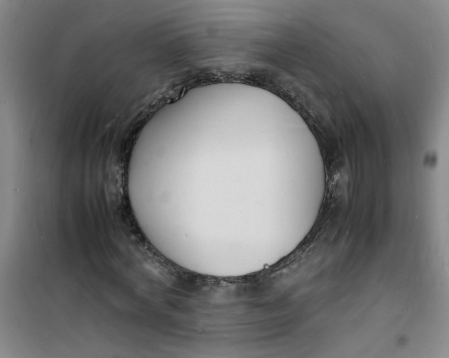 X0000100980772200807151414