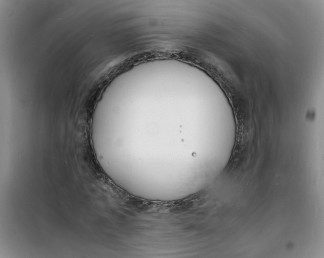 X0000100980773200807151414