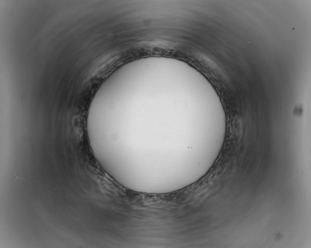 X0000100980774200807151414