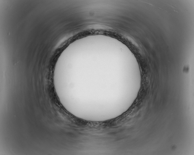 X0000100980775200807151414