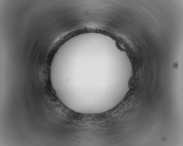 X0000100980776200807151414