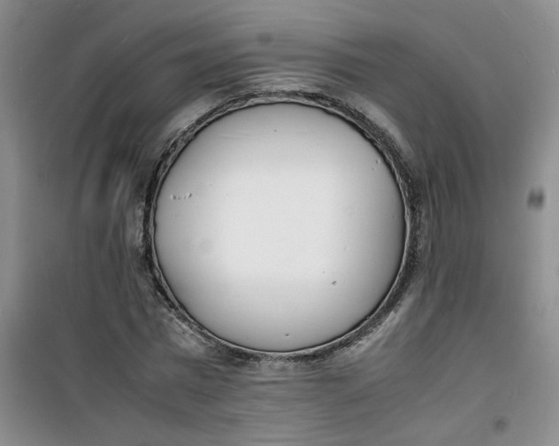 X0000100980777200807151414