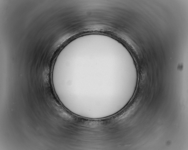 X0000100980778200807151414