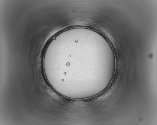 X0000100980779200807151414