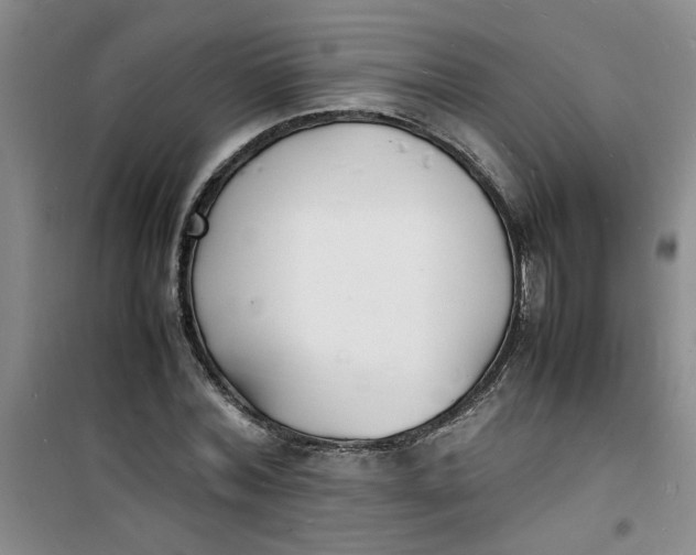 X0000100980780200807151414