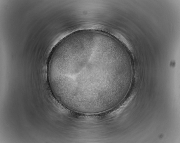 X0000100980781200807151414