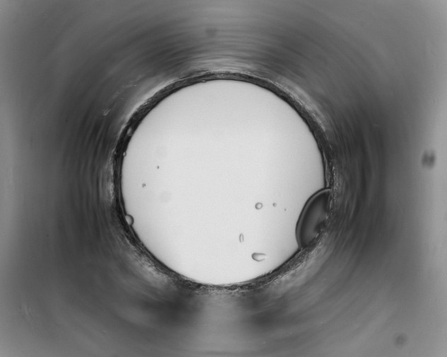 X0000100980782200807151414