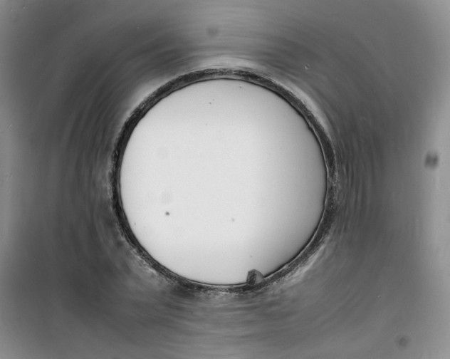 X0000100980783200807151414