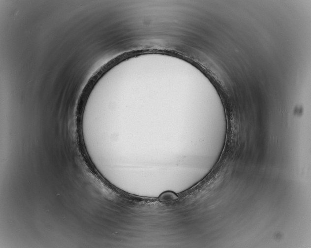 X0000100980784200807151414