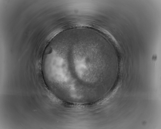 X0000100980785200807151414