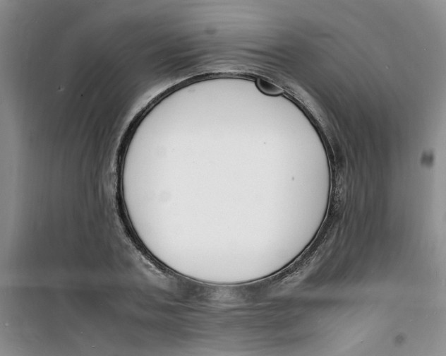 X0000100980787200807151414