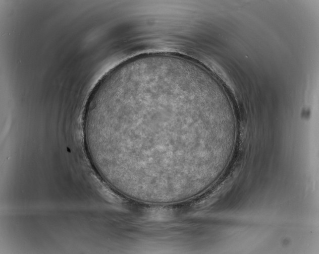 X0000100980789200807151414