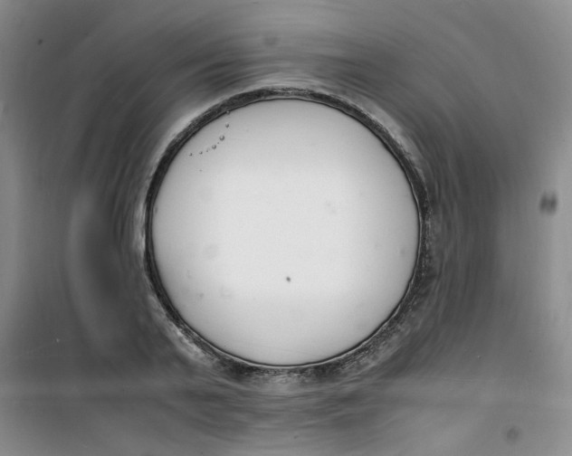 X0000100980791200807151414