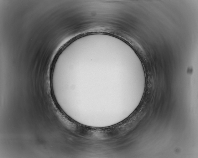 X0000100980792200807151414