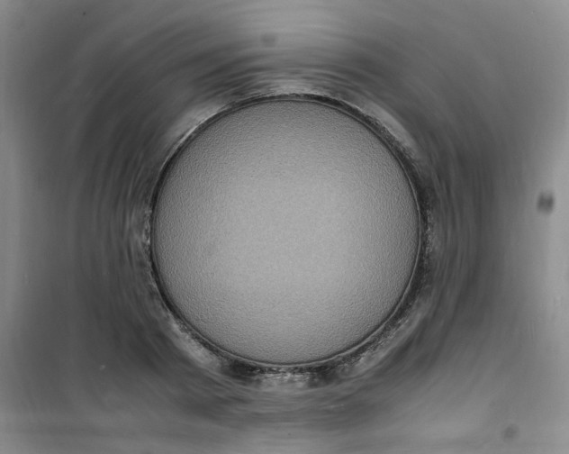 X0000100980793200807151414