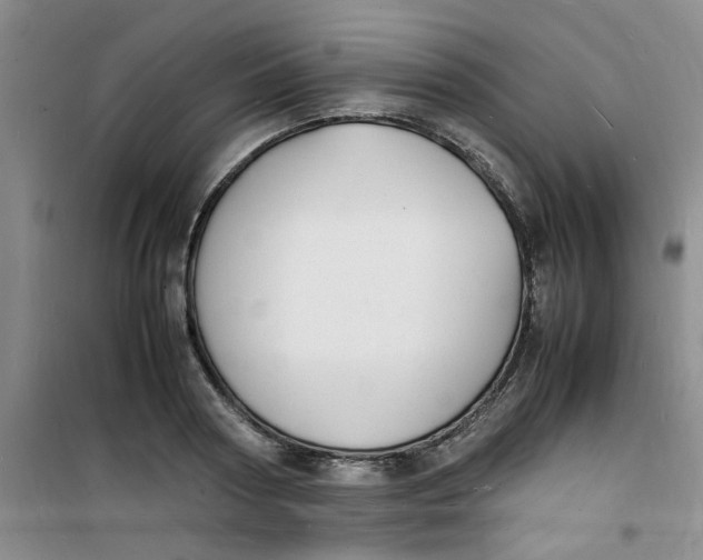 X0000100980794200807151414