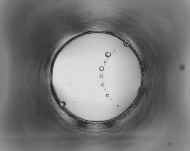 X0000100980795200807151414