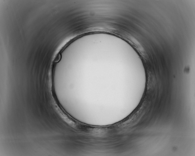 X0000100980796200807151414