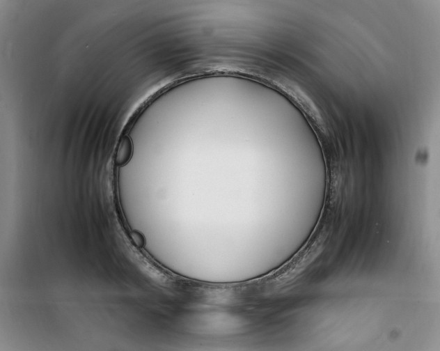 X0000100980798200807151414