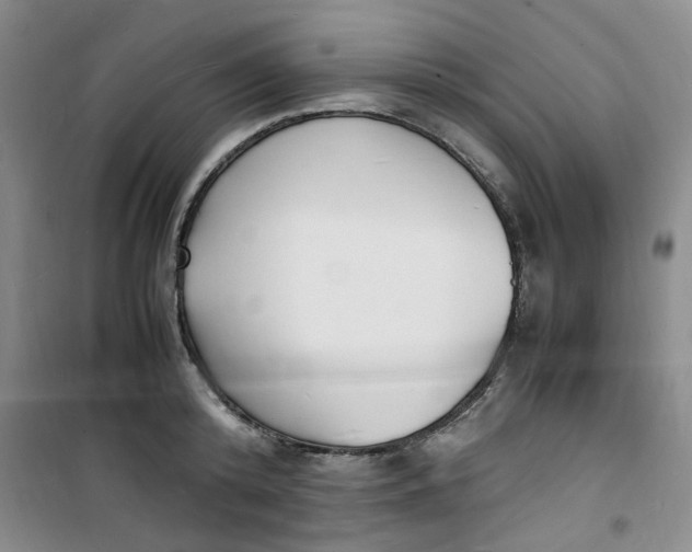 X0000100980800200807151414