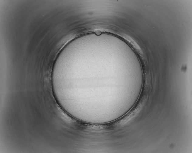 X0000100980801200807151414