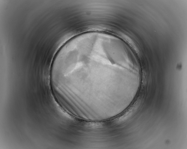 X0000100980802200807151414