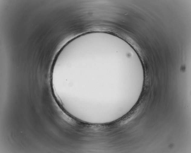 X0000100980803200807151414