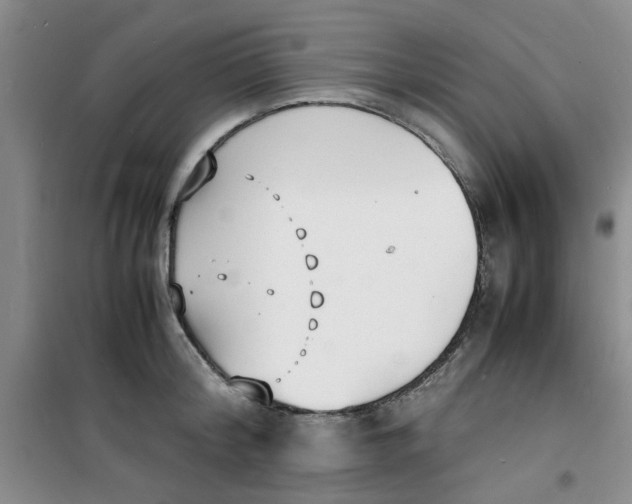 X0000100980804200807151414