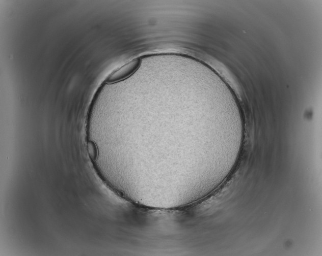 X0000100980805200807151414