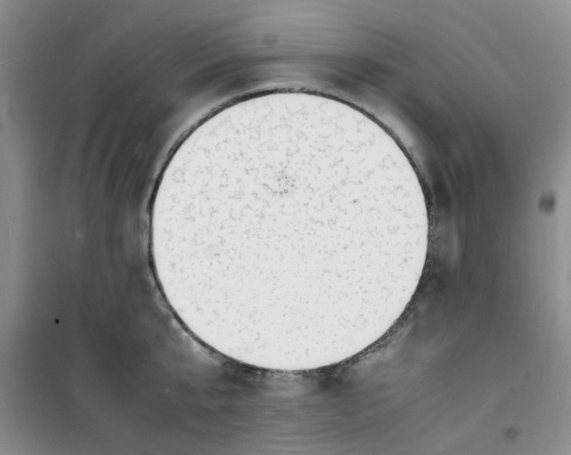 X0000100980807200807151414