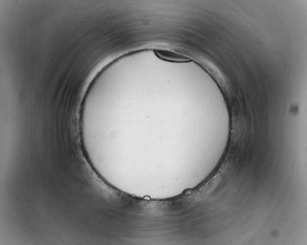 X0000100980808200807151414